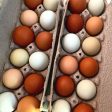 SAGE Meat Bundles & Eggs! For Cheap