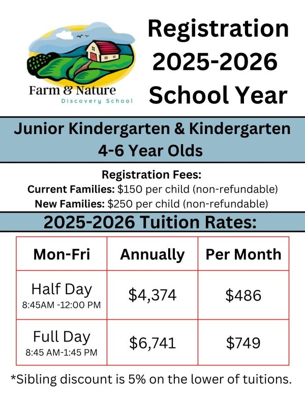 Junior Kindergarten Kindergarten Registration 2025-2026 on Sale