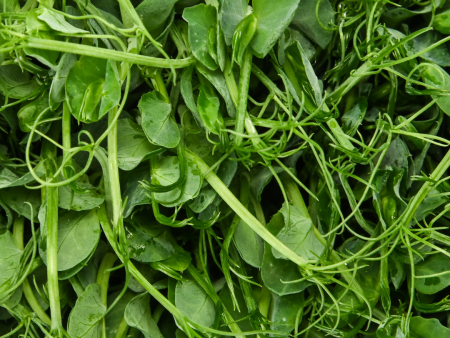 Pea Microgreens (90g) For Cheap