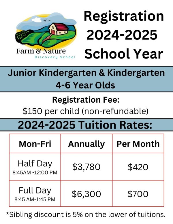 Junior Kindergarten Kindergarten Registration 2024-2025 Hot on Sale