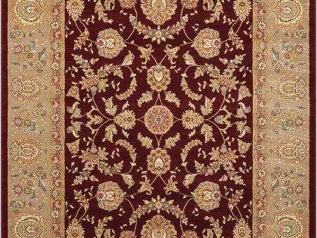 Nourison Home Antiquities ANT01 Garnet Traditional Power-Loomed Rug Online