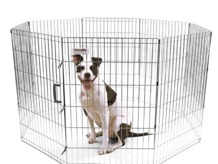 Precision Pet Products Exercise Pen Silver, 1 Each 36 in by San Francisco Bay Brand For Discount